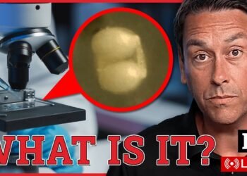 Bioweapons over America? U.S. Geo-engineering caught raining mysterious objects over U.S. | Redacted