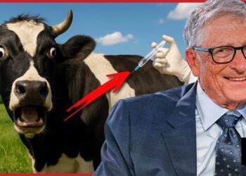 It’s starting! Bill Gates announces plans to vaccinate your meat | Redacted News