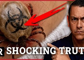 The Shocking Truth of Lyme Disease and Ticks as Bioweapons